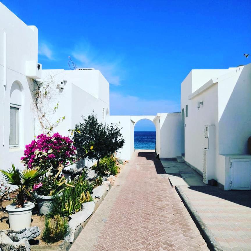 The Blue Gate 2 * Maskat